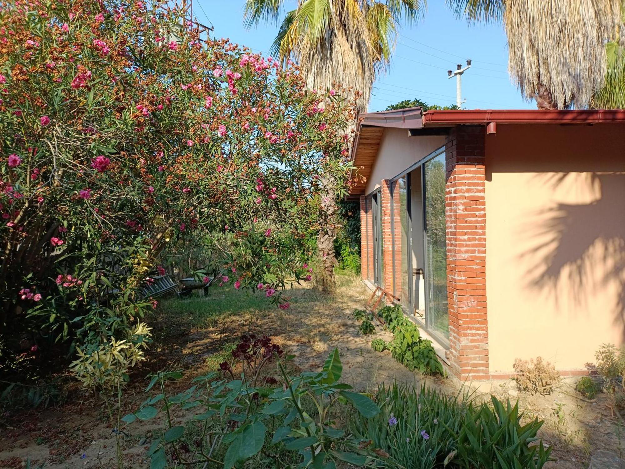 The Palm Apart Sarigerme Exterior foto